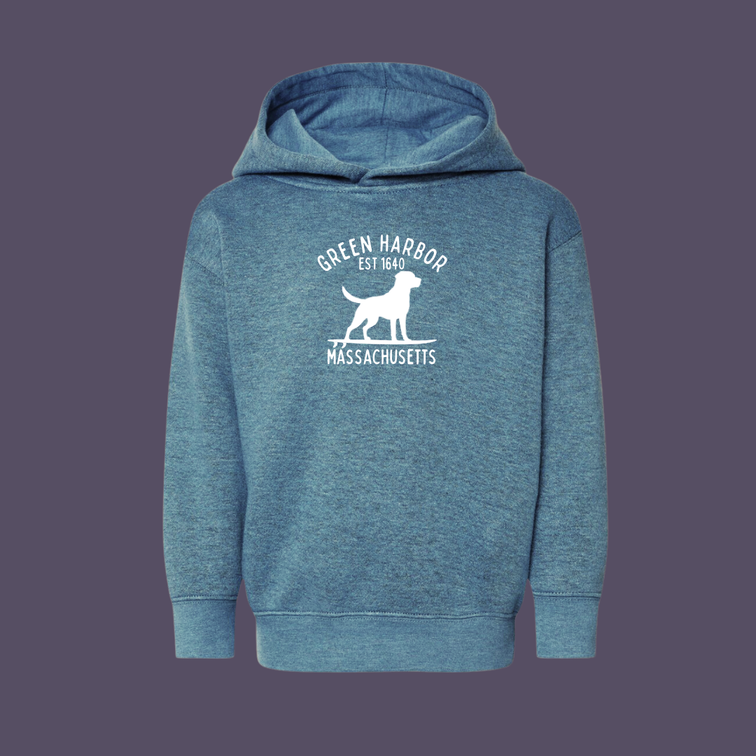 Toddler Green Harbor Surf Dog Hoodie