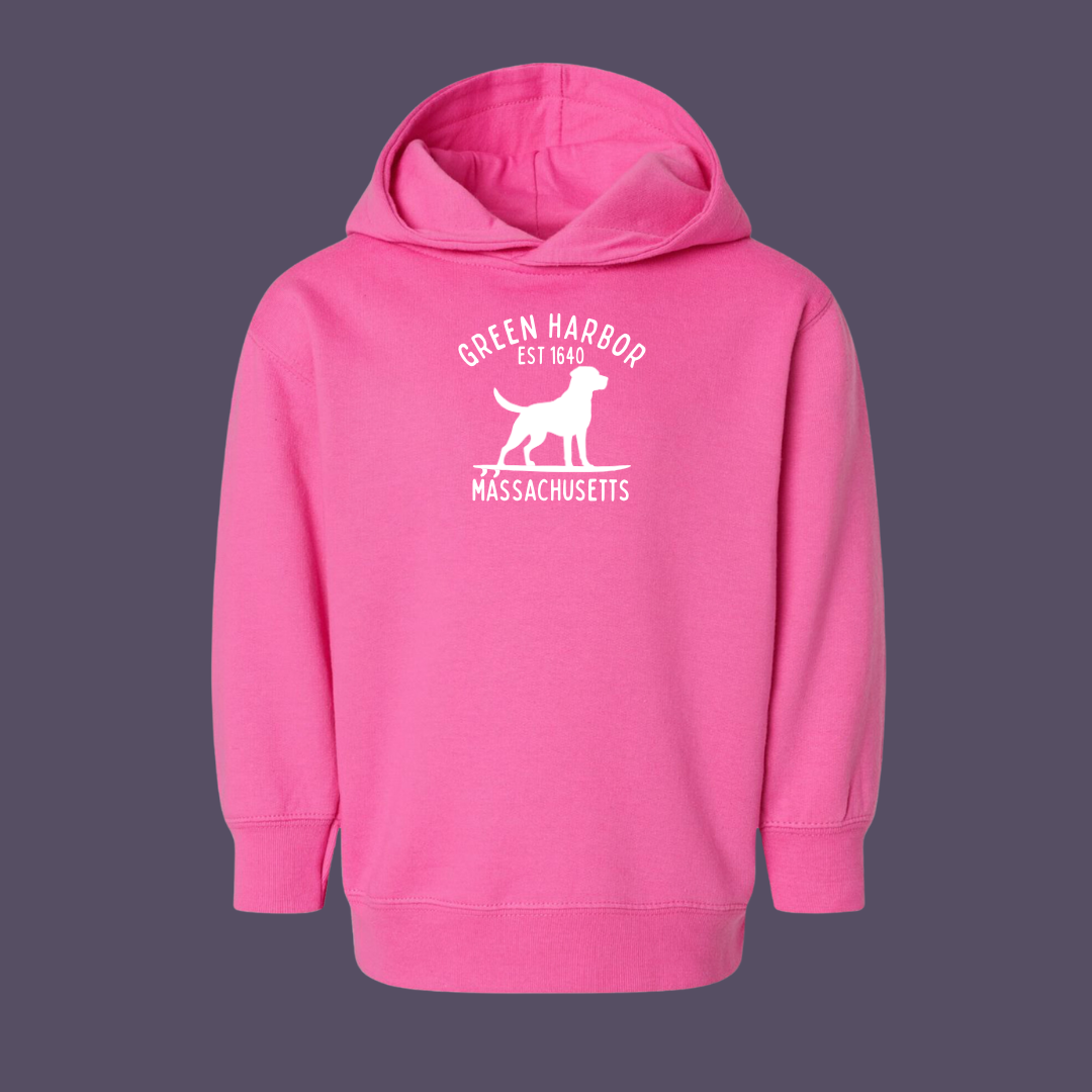 Toddler Green Harbor Surf Dog Hoodie