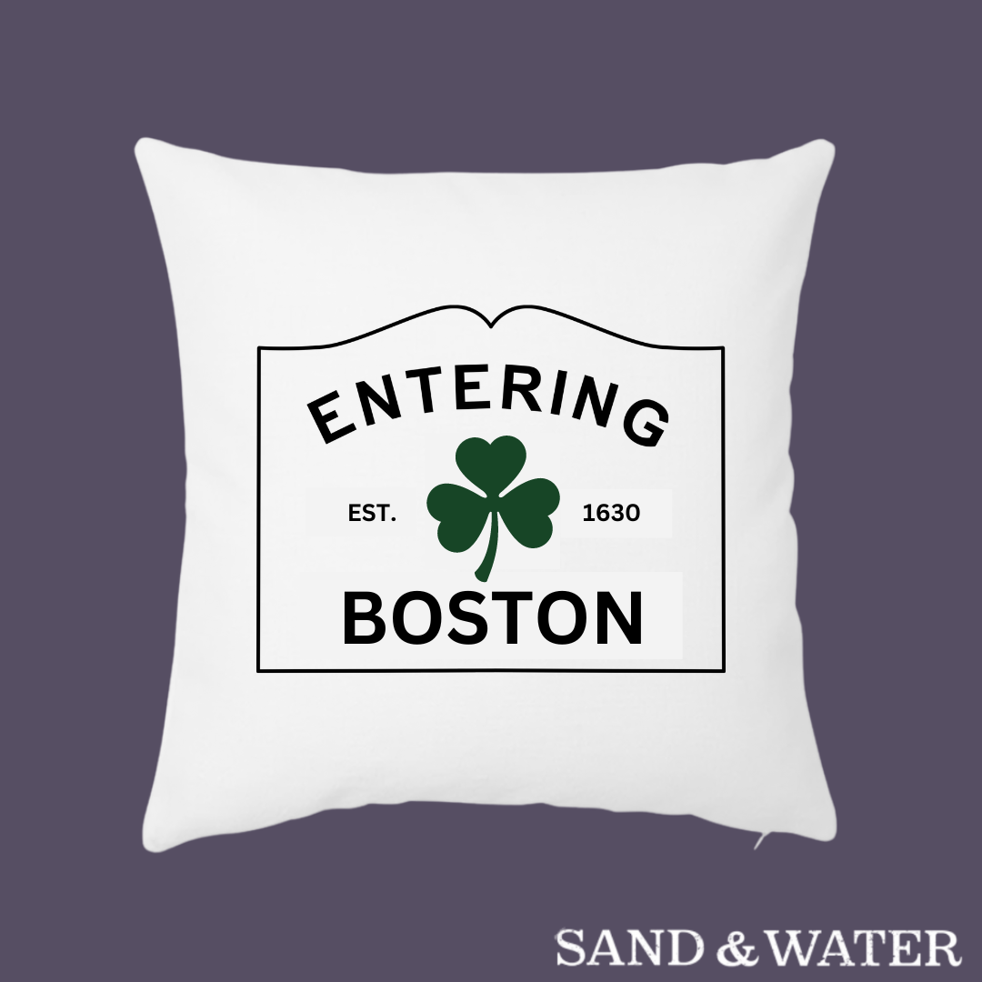Entering Boston Pillow Cover