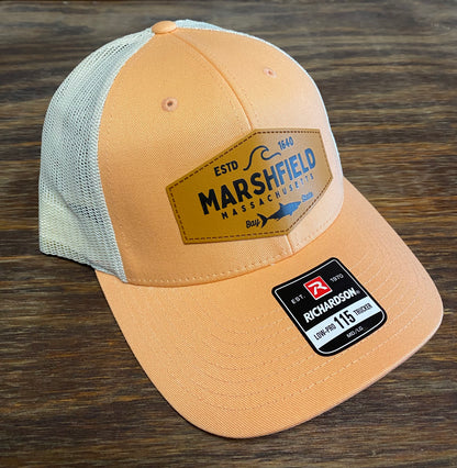 Marshfield Shark Hat