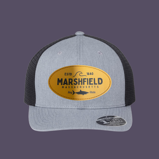 Marshfield Shark Hat