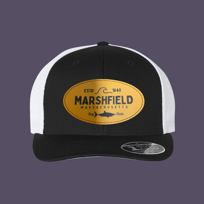 Marshfield Shark Hat