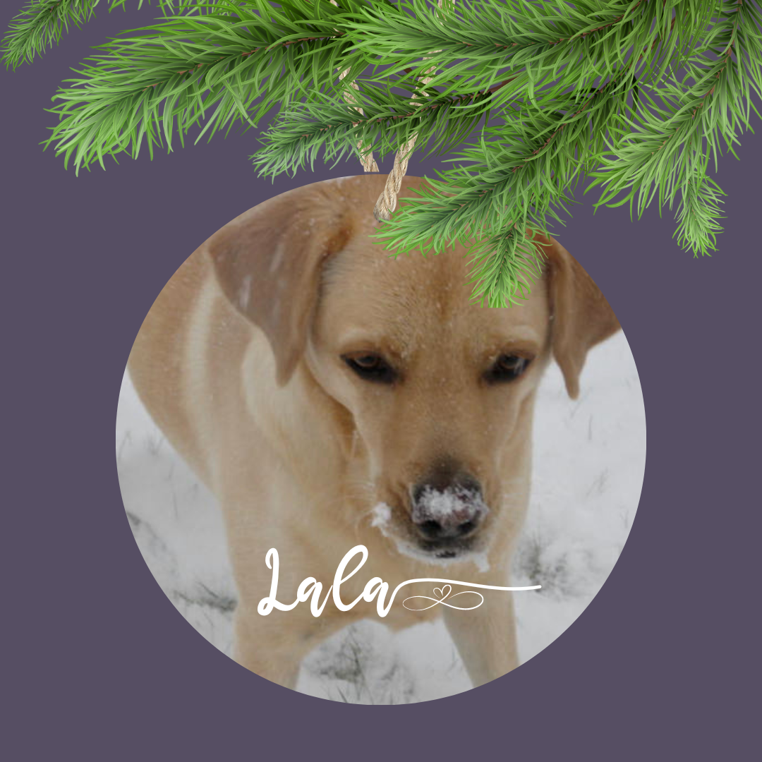 Pet Photo Custom Ornament